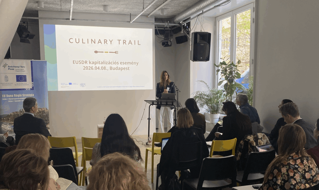 EU Danube Region Strategy project capitalization event