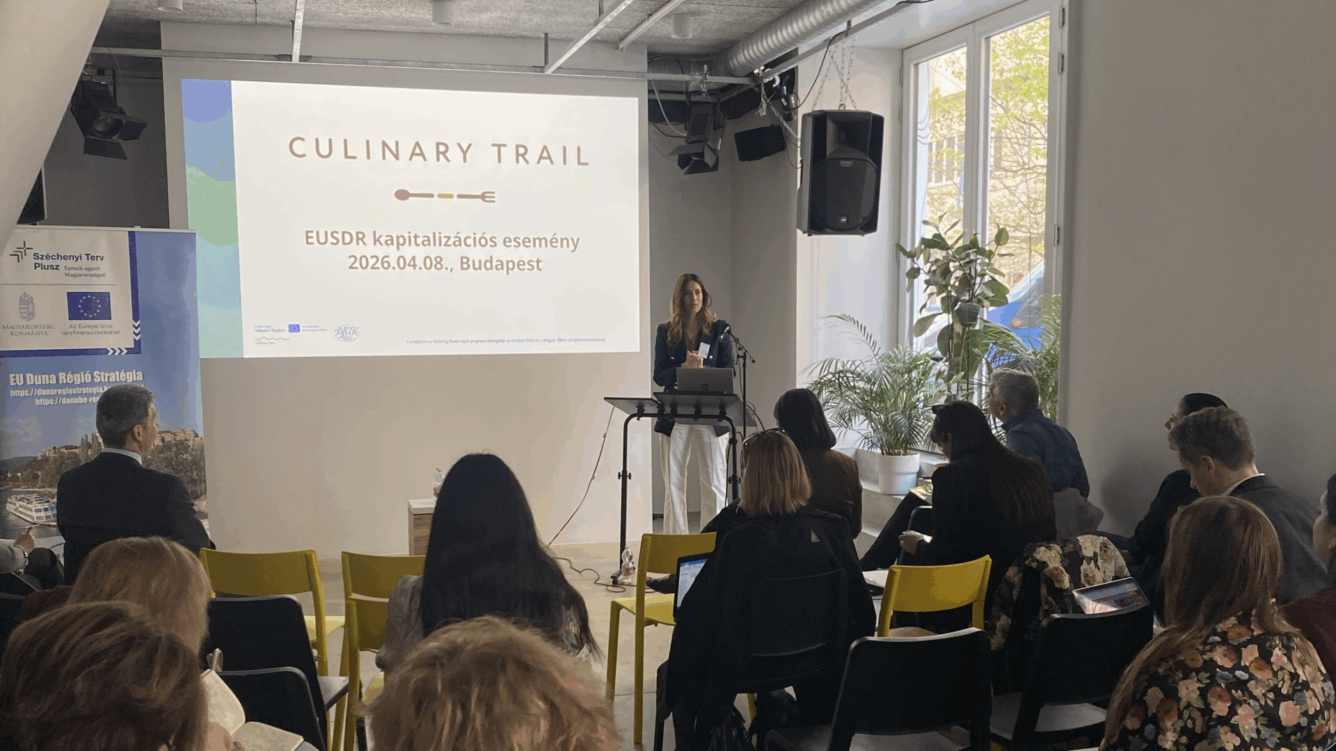 EU Duna Régió Stratégia projekt kapitalizációs esemény